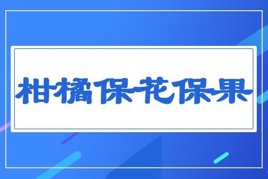 ���ٱ�������