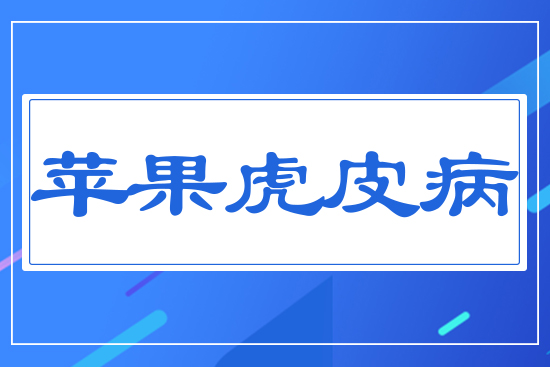 �O����Ƥ��