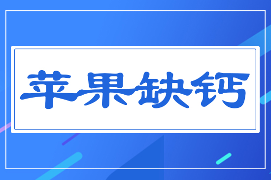 蘋(píng)果缺鈣