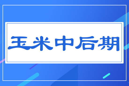 �����к���