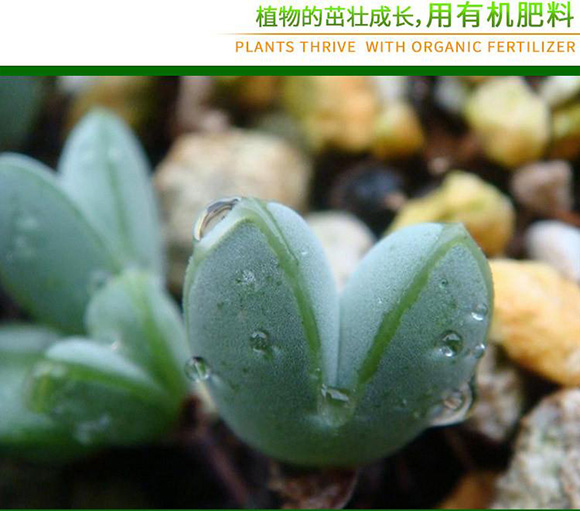 ΢�������-�����҈@-���������3