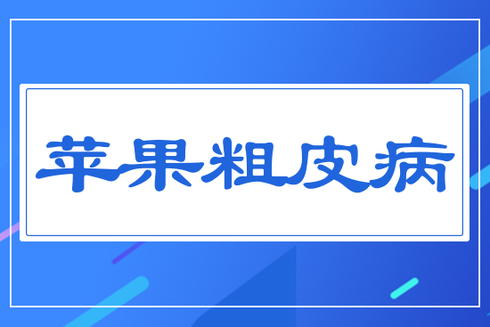 �O����Ƥ��