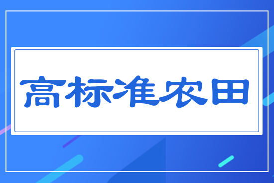 �ߘ�(bi��o)��(zh��n)�r(n��ng)��