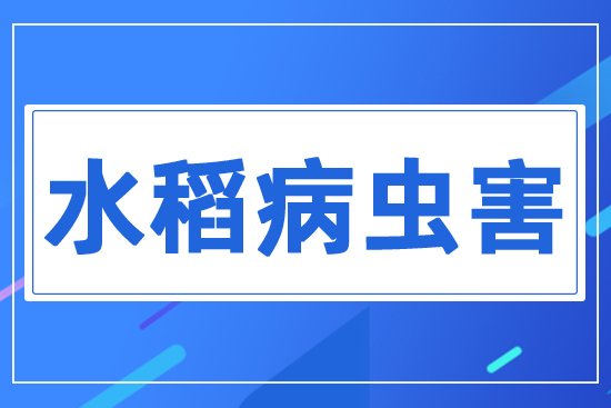 ˮ�����x��