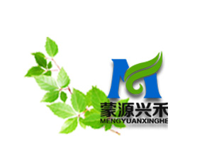 ���ɹ���Դ�d������Ƽ����޹�˾