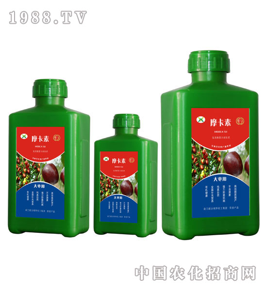 �󗗌��ð���������Һ�ķ�-Ħ����-��о���H