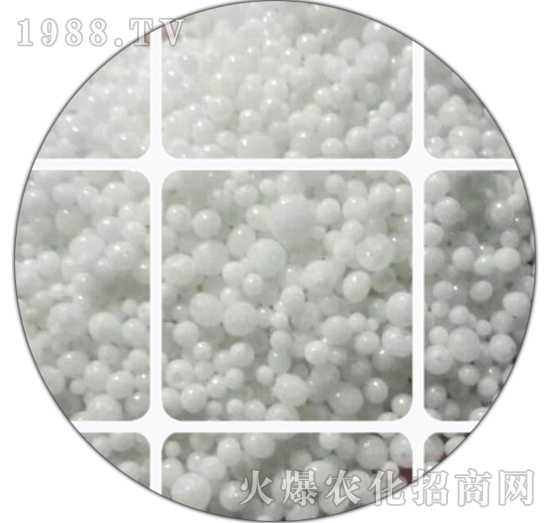 ����(sh��)�����w��-������