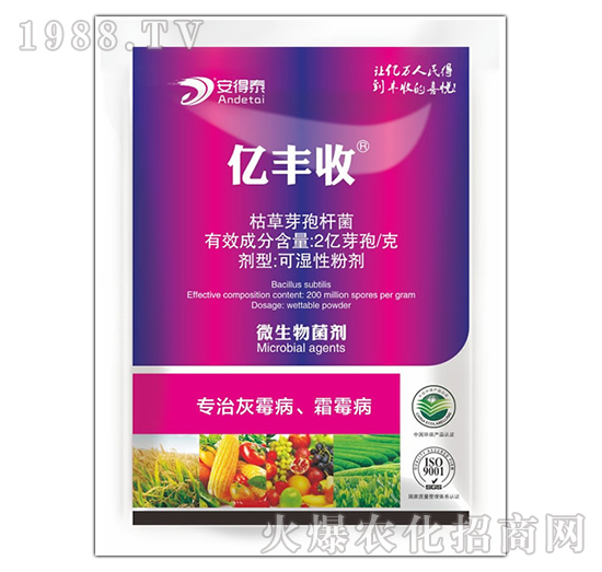 ���λ�ù��˪ù��-�|�S��-����̩