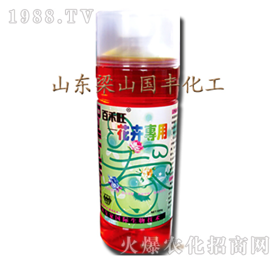 花卉專(zhuān)用葉面肥-梁山國(guó)豐