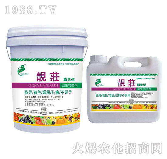 ΢�������-������n��-��̩���