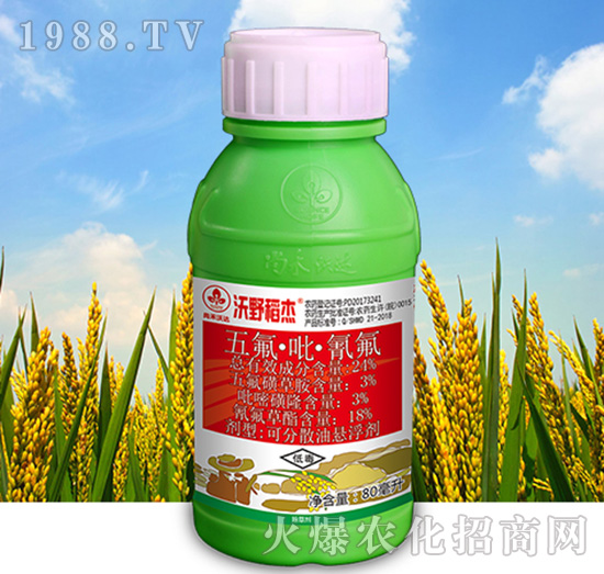 24%������������-��Ұ����-�к����_(d��)