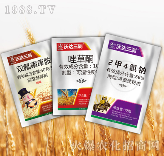 ���_���x�M��-�к����_