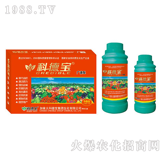 �V�V�͠I�B(y��ng)���a�{�턩-�Ƶ�