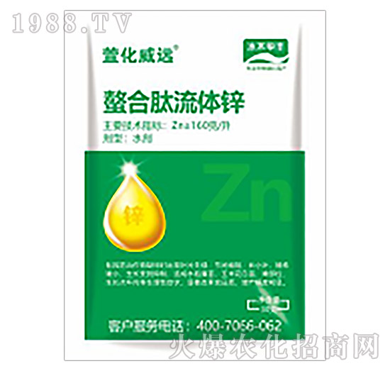 ���ϑB(t��i)���w�\-�滯���h