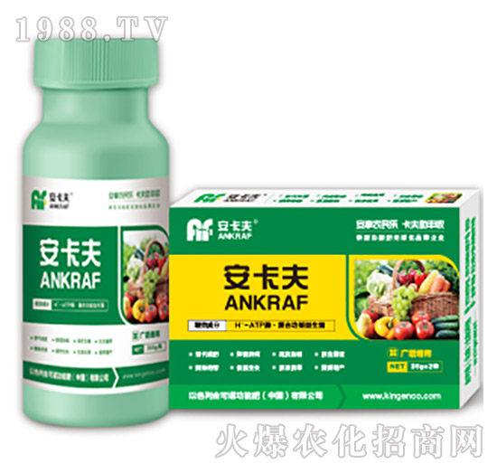 �V��ͨ���~���-������