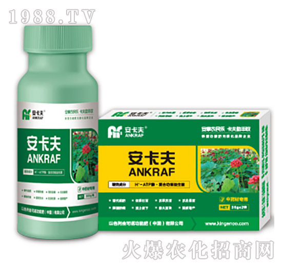 ��ˎ�Č����~���-������