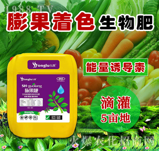 �����ɫ�����-ʩ���n-��С��