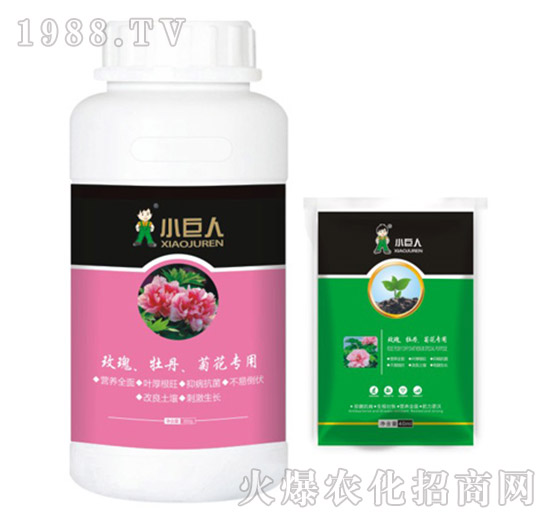 õ����ĵ�����ջ������{(di��o)��(ji��)��-С����