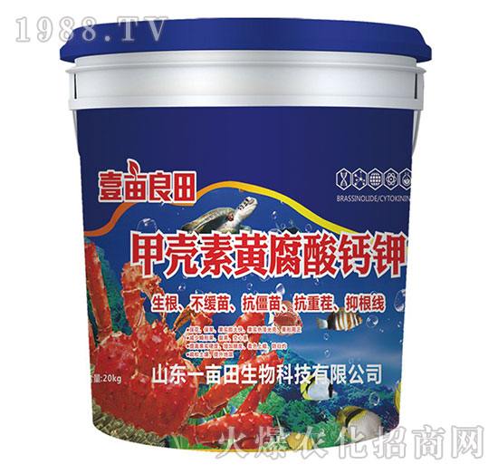 �ך����S�����}�-Ҽ������