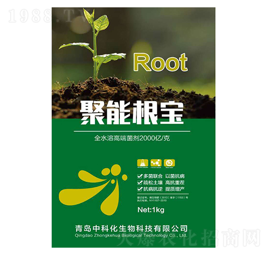 ���ܸ���-�пƻ�