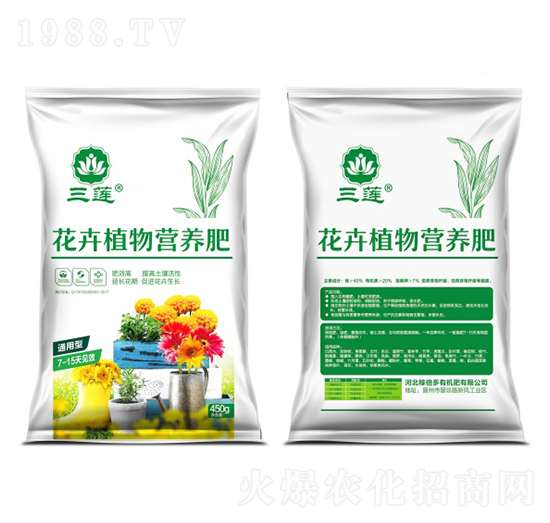 ����ֲ��I(y��ng)�B(y��ng)��-�ڱ���