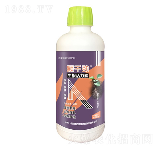 ����������-�wǧ��-���r(n��ng)˼�_(d��)