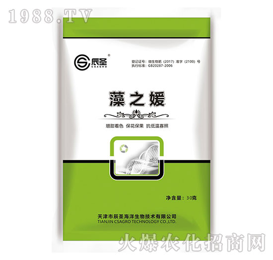 ��֮��-��ʥ����