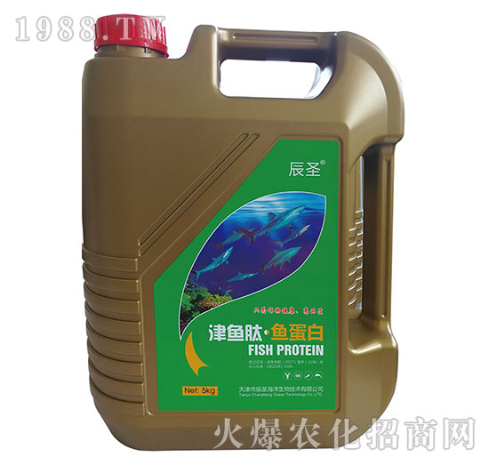 ���~(y��)�ġ��~(y��)����-��ʥ����