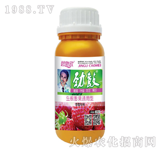 �ŹĲ�ݮ����-����