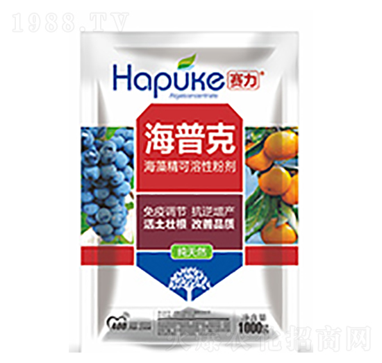 ِ�����տ�-�����Ƽ�