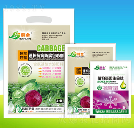 白菜甘藍(lán)速長(zhǎng)抗病防腐包心劑-韓邦肥業(yè)