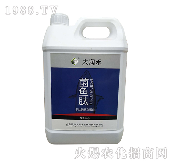 ���~(y��)��-����ø���~(y��)����-��(r��n)��