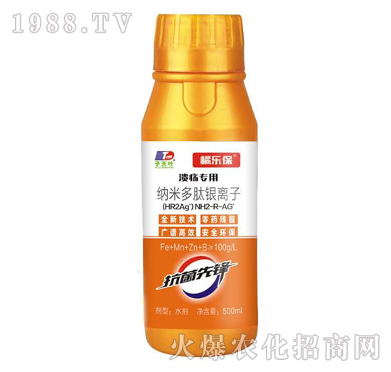 �������ü{�׶����y�x��-�٘���-���~����