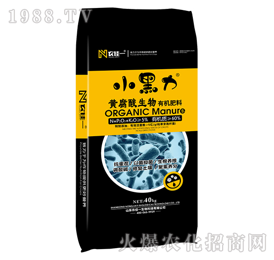 �S���������ЙC����-С����-�r(n��ng)��һ