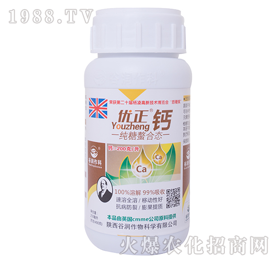 �������ϑB(t��i)-��(y��u)���\-�ȝ�����