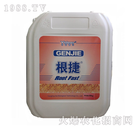 ����-��?t��ng)����? style=