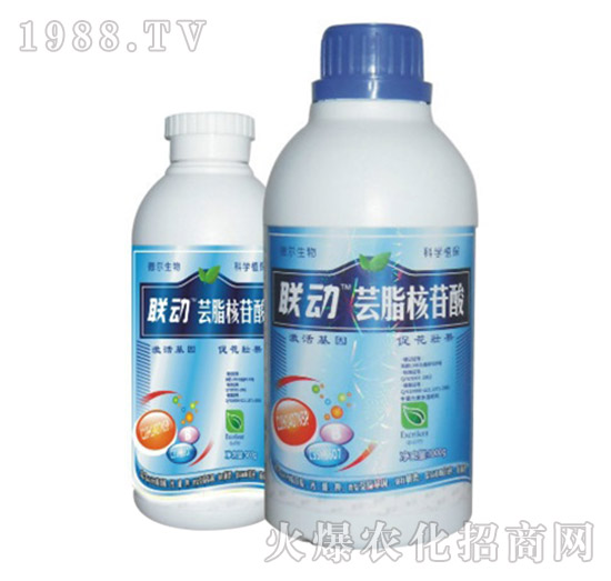 �|֬������-(li��n)��(d��ng)-� �����