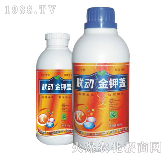 ����w-(li��n)��-� �����