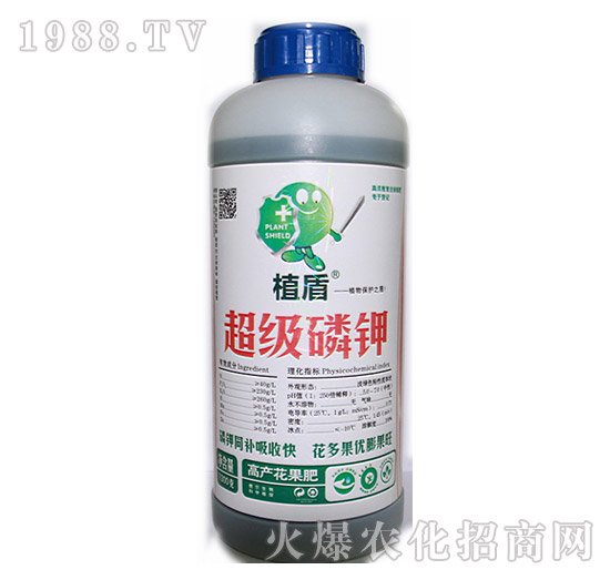 ����(j��)���-ֲ��-��?t��ng)����? style=