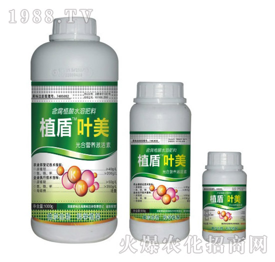 �~��-ֲ��-��?t��ng)����? style=