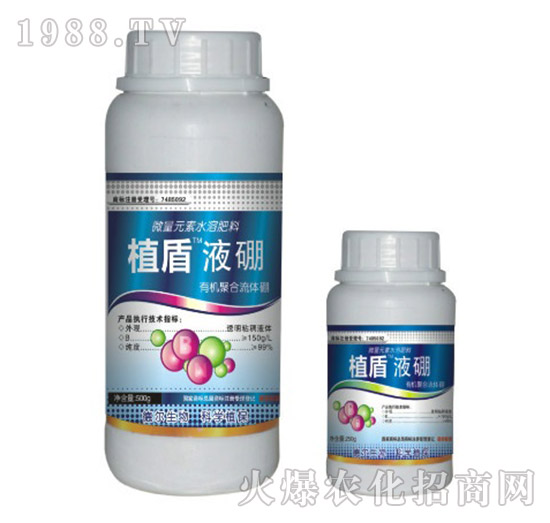 Һ��-ֲ��-� �����