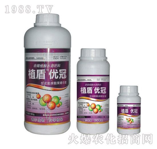 ��(y��u)��-ֲ��-��?t��ng)����? style=