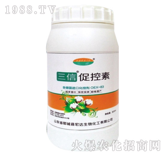 ���Ŵٿ���-���_(d��)����