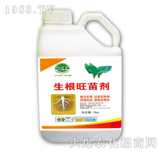 生根旺苗劑-田園季豐-大豐肥業(yè)
