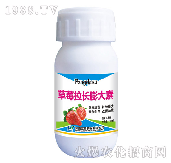 ��ݮ���L(zh��ng)�����-���䌍(sh��)�I(y��)