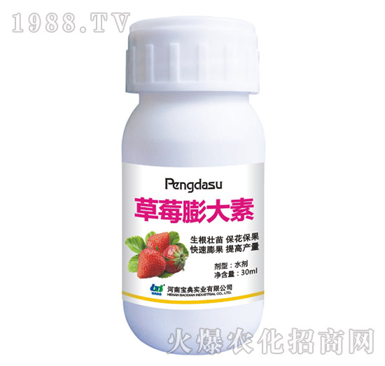 ��ݮ�����-���䌍�I(y��)