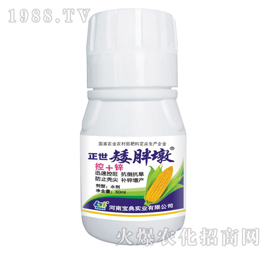 �������ֶ�-���䌍(sh��)�I(y��)