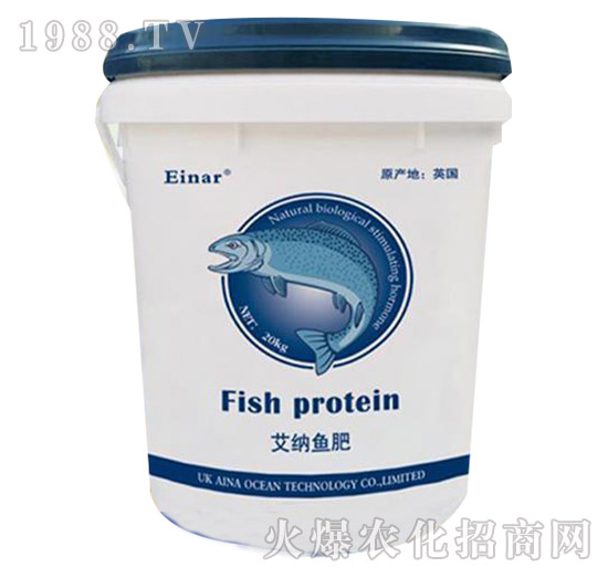 ���{�~(y��)��-���㺣