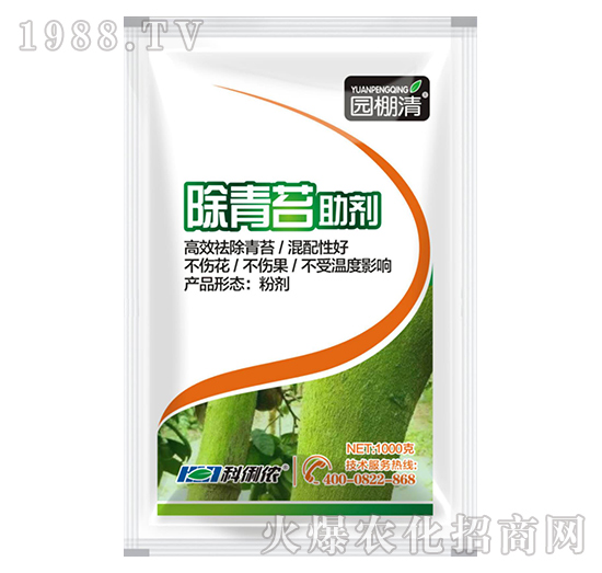 ����̦����-�@����-�����r