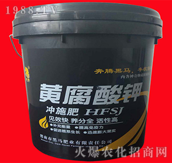 �S�����-���R�ʘI(y��)